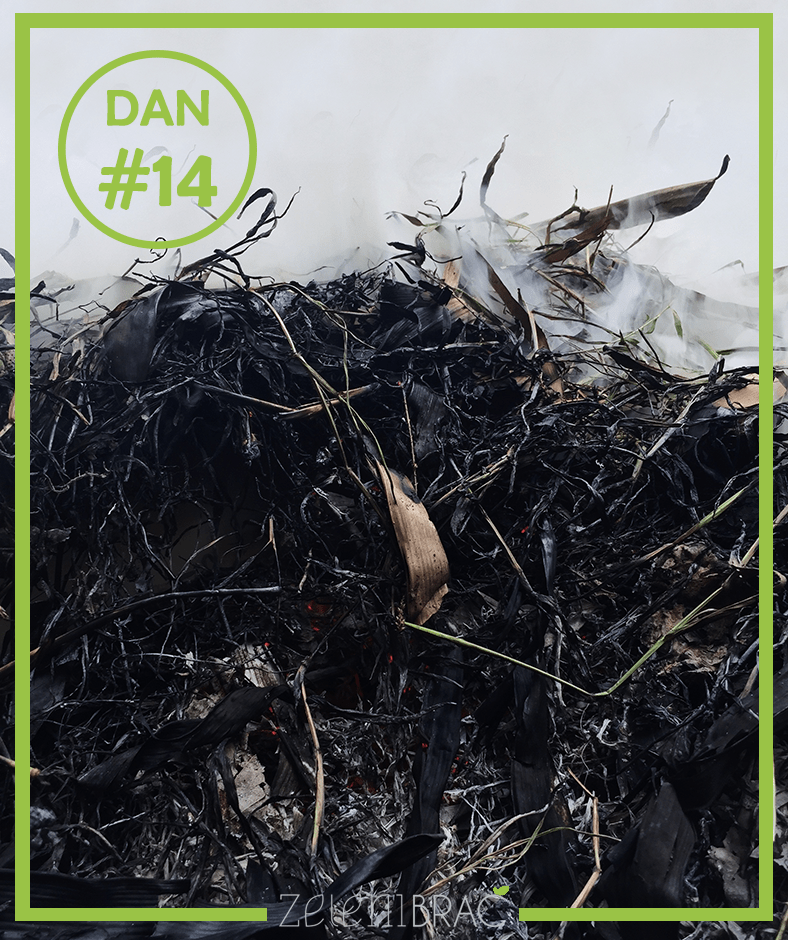 DAY # 14 | START COMPOSTING